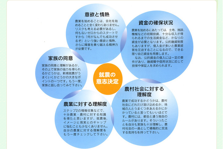 就農の意思決定/意欲と情熱/資金の確保状況/農村社会に対する理解度/農業に対する理解度/家族の同意